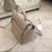 Celine Mini Belt Bag In Grained Calfskin Light Taupe